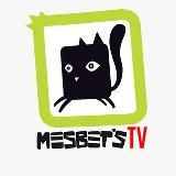 Mesbet | Coscienza • Energia • Viaggi 🐈‍⬛
