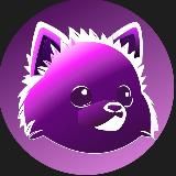 Mia the Spitz