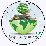 Мир Наизнанку🌱