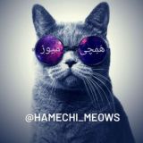 هَمِچی میوز | Hamechi meows