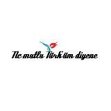 The Turkish Times
