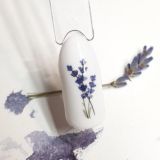 TelegramNails