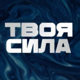 Твоя СИЛА || Центр Типологии К.А.Шадрина