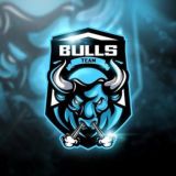 BullsBetTeam | Ставки на спорт