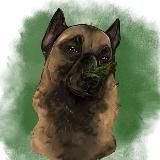 malinois.shani.fb⚡️