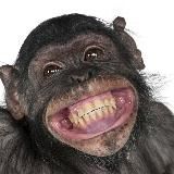 Анекдоты избранное🐒