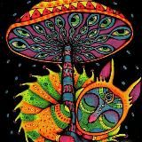 Мухоморов Мир 🌏 🍄