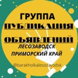 Барахолка Лесозаводск/ Приморский край Chat