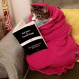 🐱 Leftist Cats 🔥