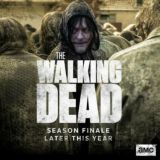 🎬 THE WALKING DEAD HD SERIES