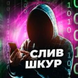 ПОИСК БОТ