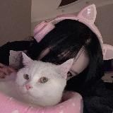 akkizuki ✧˖°.