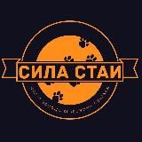 mistr_maffin