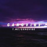 G A N G V I B E 🔥