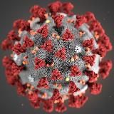 Coronavirus-Ticker SARS-CoV-2, Covid-19 Wuhan aktuell - Pandemie länger überleben durch rechtzeitige Information via Telegram