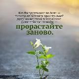 Марина Жупырина || удалёнка || доп.доход