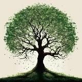 Дикие травы души 🌱