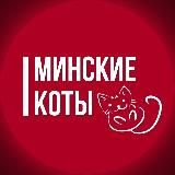 Минские кoты