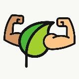 Healthy Body