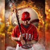 Baseball Expert