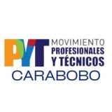 Profesionales y técnicos Carabobo