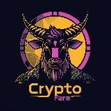 Crypto | Gringo
