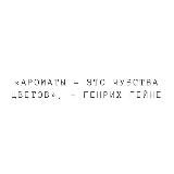 Настя 🤎 про контакт с телом