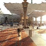 تذكروني 🌴