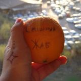 Смішний Жаб #Укртґ