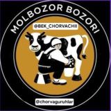 Toshkent chorva Qoylar bozori molbozori