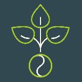 Heilstoff | Ganzheitlich gesund 🌱