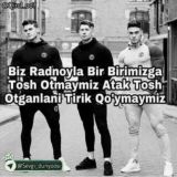 RADNOYLAR