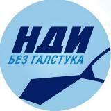 Политика в Израиле от НДИ