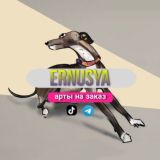 𝙀𝙧𝙣𝙪𝙨𝙮𝙖
