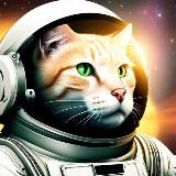 AI CATS