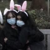 iron ears