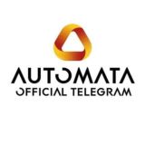 Automata Network
