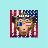 MonQey FileZ = 147