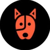 .Sé feliz con tu perro