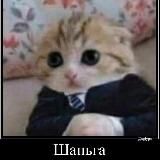 Ями шнак