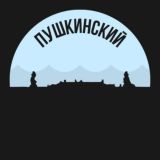 Пушкинский район