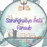 Saranghaeyo Asia