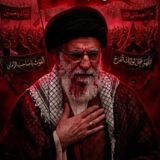 الهدهد نيوز
