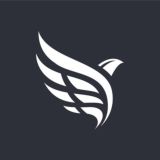 Currency Pilot