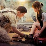 Descendents of the sun 🌝
