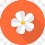 花花免费全球综合机器人 通知频道