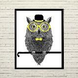 WHITE OWL