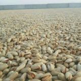پسته رفسنجان