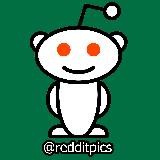 Reddit