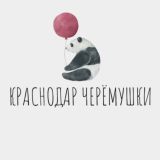 Краснодар Черёмушки Ставропольская Вещевой Рынок Вешняки Новороссийская улица Краснодара Знакомства Общение Чат Барахолка Вписки